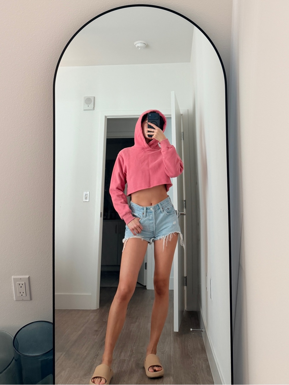 Aritzia TNA Pink Fleece Hoodie